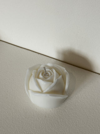 Candela color avorio a forma di rosa davanti a una parete chiara.